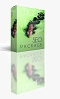 seo package