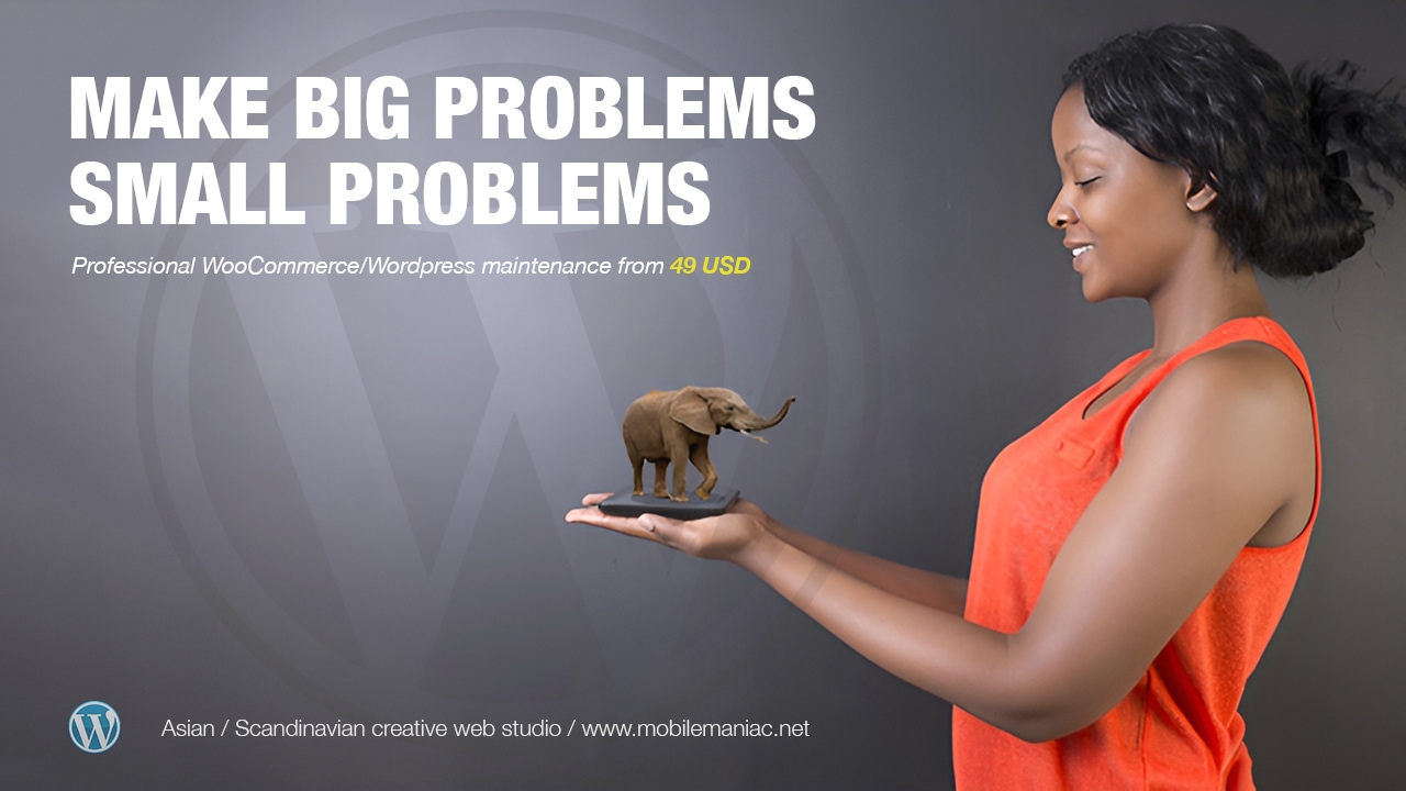 wordpress woocommerce maintenance